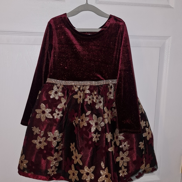 Dollie & Me Other - Beautiful NWOTs Toddler Sz 4 Holiday Dress